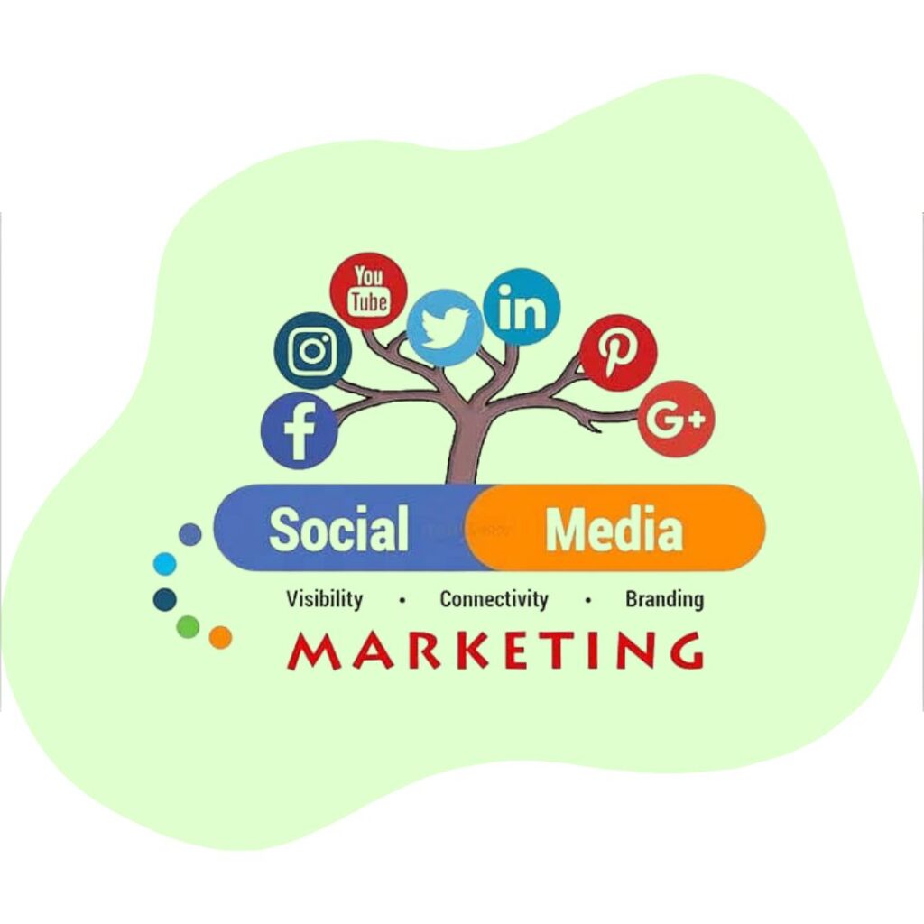 Social Media Marketing (SMM)